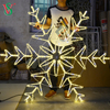 Customized Design Animated LED 2D Snowflake Lights for Christmas Decoration