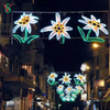 Newest Outdoor Giant LED Christmas Decoration Large 2D Street Motif Lights