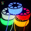 High Quality Factory Price Outdoor LED Rope Light Festival Decoration Light