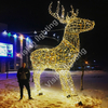 Christmas outdoor decoration 3D Sculpture motif Customized giant animal led deer light