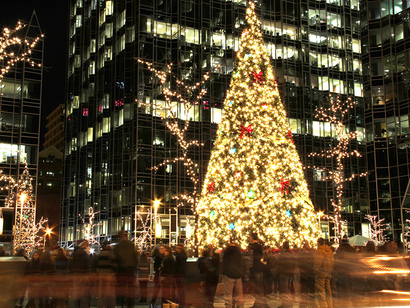 Christmas Tree Light in Outdoor Public Area
