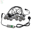 Commercial Outdoor LED Festoon Belt Light, Custom Landscape Festival Decoration
