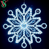 Outdoor Use IP65 2D Snowflake Motif Light for Christmas Decoration