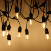 Commercial Outdoor LED Festoon Belt Light, Custom Landscape Festival Decoration